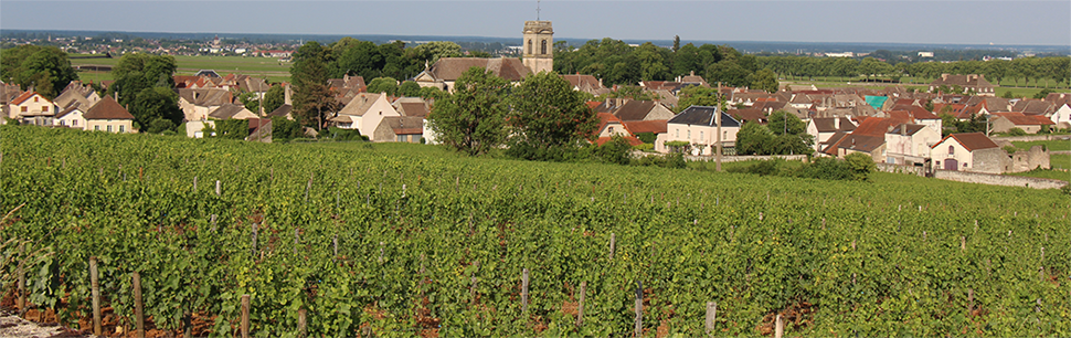 Village de Pommard